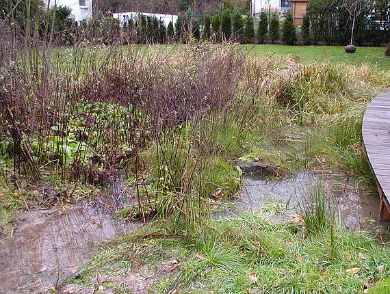 Zu sehen ist eine angelegte Mulde in einem Garten zum Auffangen des Regenwassers